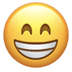 :grin: :grin: